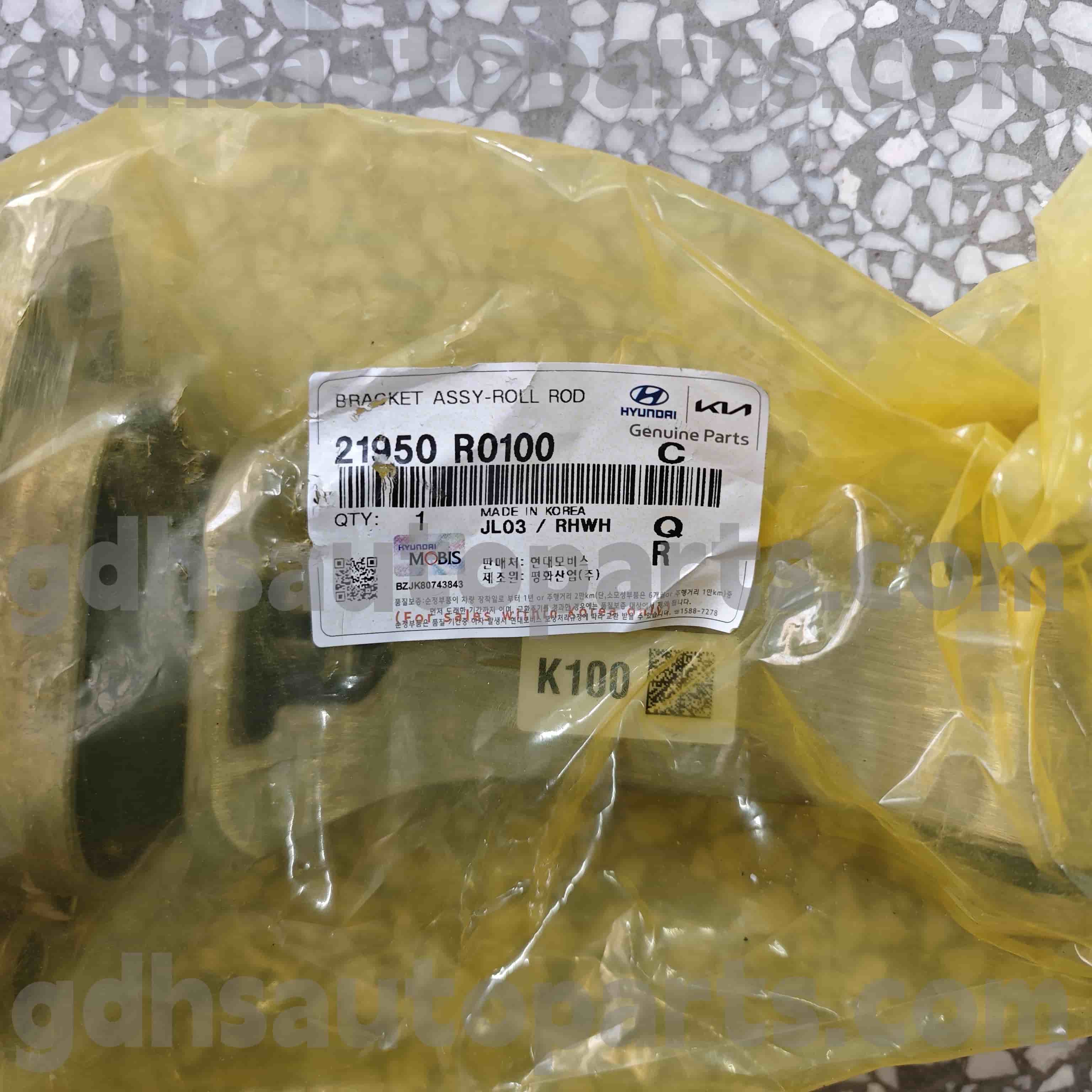 21950 R0100 Hyundai Genuine Parts Roll Soporte para Rusia, General, Australia, Europa + Rusia, Medio Oriente